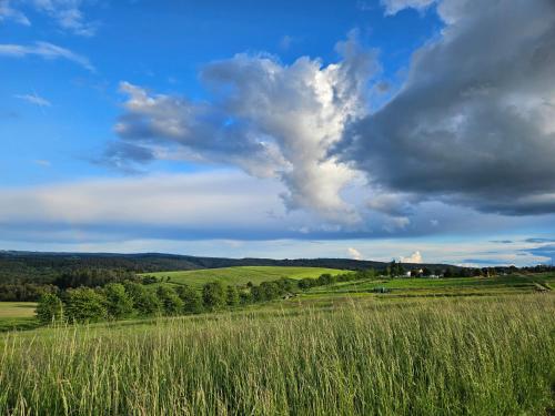 View, Apartment im schonen Taunus in Bad Schwalbach