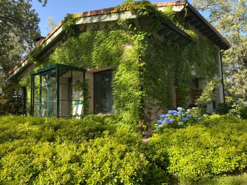 Casa Rural Finca De Musgo in Valverde De La Vera