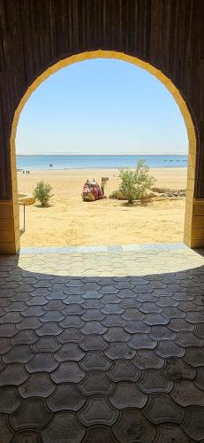 Safarova Tours in Senoures