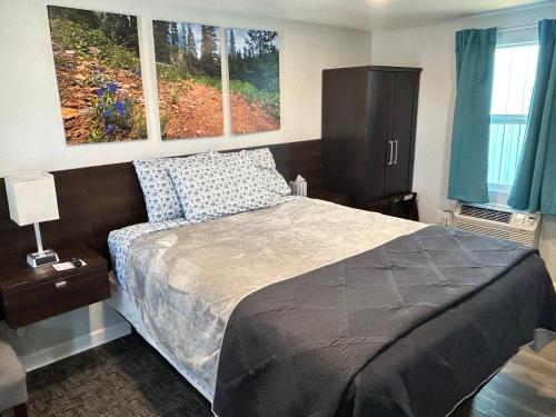 Snowy Mountain Inn - image 13