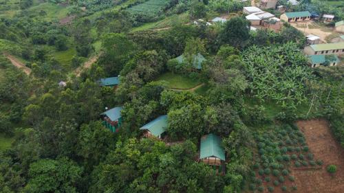 Habinyanja Community Lodge in Kanungu