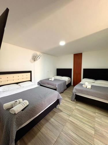 3 double beds