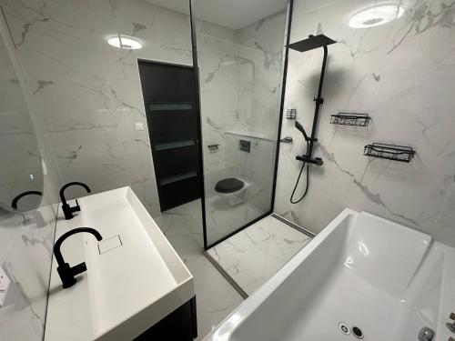 Appartement chalereux et design