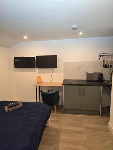 Studio with ensuite bedroom and kitchen