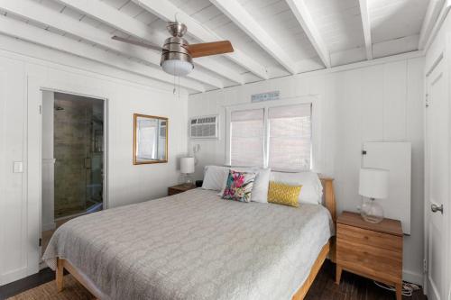 15 Seneca - image 4