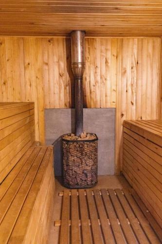 Sauna, Agropensiunea TreiFrati in Drochia