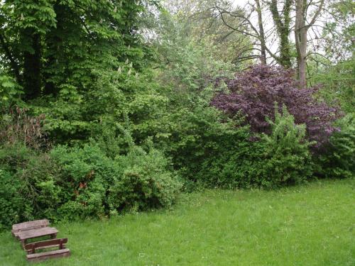 Apparthotel am Friedrichspark Apparthotel am Friedrichspark