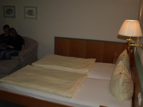 Apparthotel am Friedrichspark - image 12