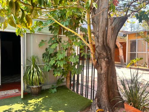 Casa Centro Historico Hostel in อัวฮากา