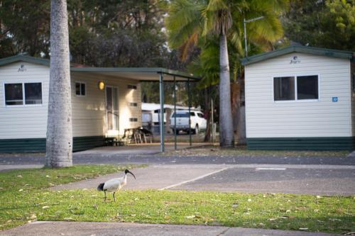 Reflections Coffs Harbour - Holiday Park - Woolgoolga Reflections Coffs Harbour - Holiday Park - Woolgoolga