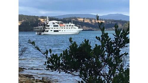 Skats, Banyula Cove by Tiny Away in North Bruny