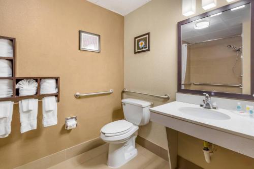 Comfort Suites Regency Park - image 43