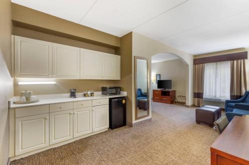 Comfort Suites Regency Park - image 28