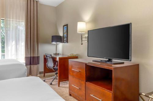 Comfort Suites Regency Park - image 36