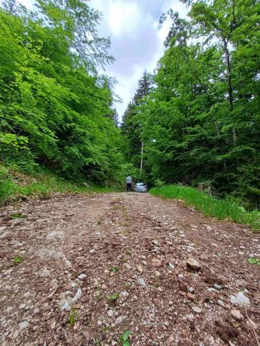 Skats, Djedova Zemljana kuca in Durdevica Tara