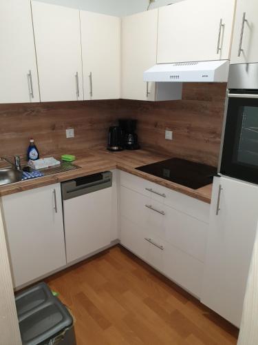 Sauberghaus Wohnung 3 in Breitenbrunn/Erzgeb.