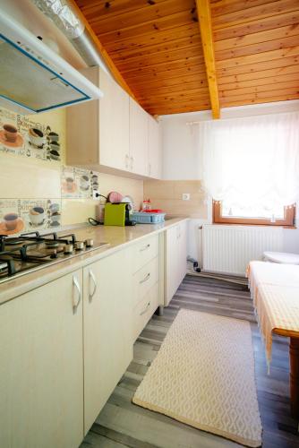 virtuve, Casa Maia Dambovicioara in Fundata