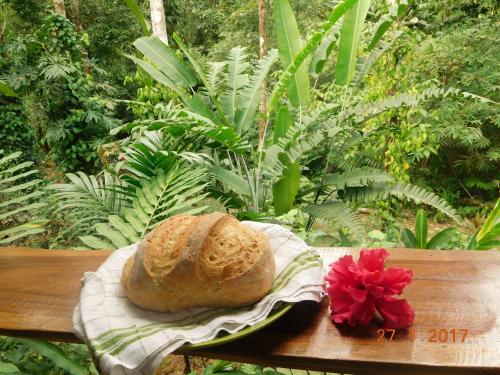 อาหารและเครื่องดื่ม, Casa Lina EcoLodge privat apartment in ปุเอร์โต วิเอโจ เดอ ทาลามันกา