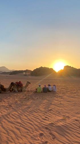 Rum desert camp