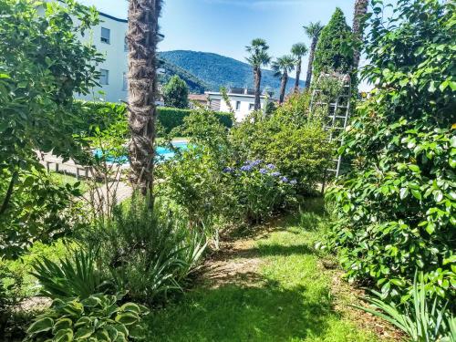 Apartment 2 Zimmer Gartenwohnung mit Pool by Interhome – khách sạn tại Caslano