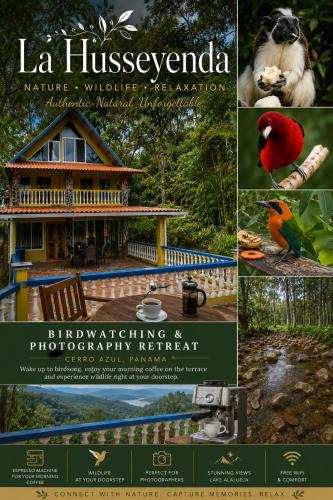 La Husseyenda Birdwatchers Paradise – khách sạn tại Cerro Azul