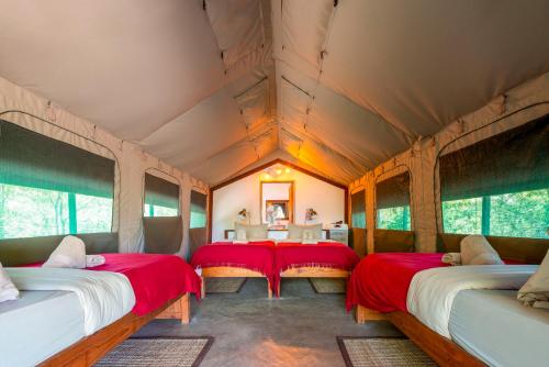 Namushasha River Camping2Go in Конгола