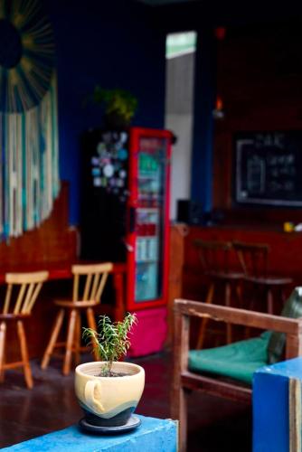 La Casa Hostel in อาไรเอล โด คาโบ