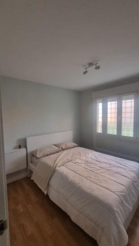 Acogedora habitación con baño compartido
