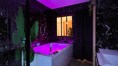 Джакузі, Appartement balnéo centre ville (Appartement balneo centre ville) in Оне-Сюр-Одон