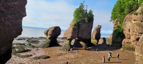 Fundara in Hopvelas Keipa (NB)
