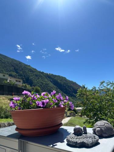 Appartamento Solluna in Brusio