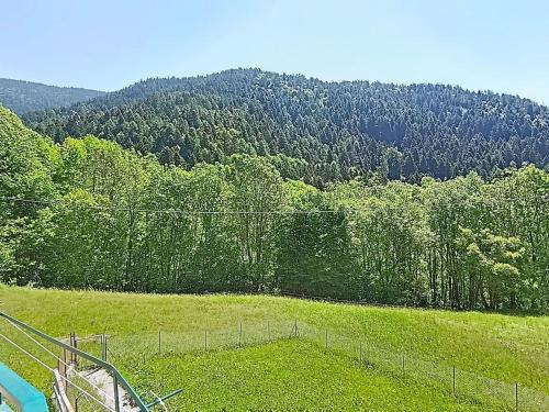 Apartment Festér by Interhome (Apartment Fester by Interhome) in Montagne