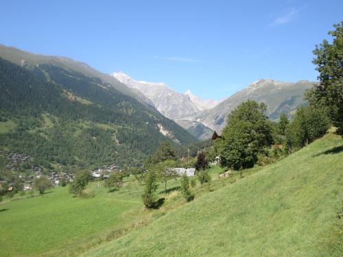 Cozy chalet in Bister near ski area