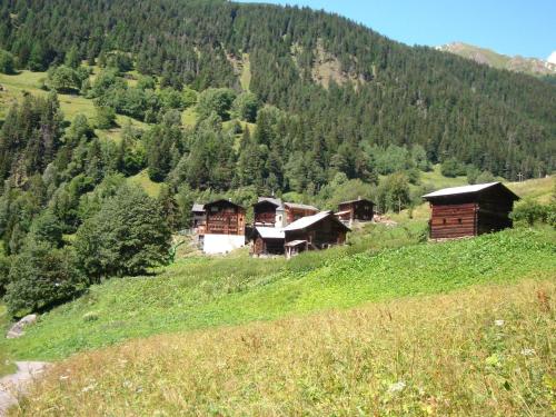 Cozy chalet in Bister near ski area