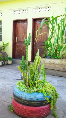 Viesnīcas āriene, SuPas Bistro in Kisoro