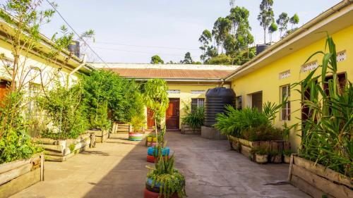 Dārzs, SuPas Bistro in Kisoro