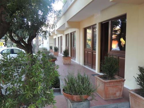 Hotel Zeus - image 3