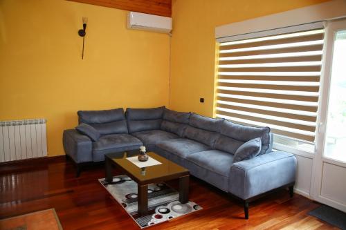 Vila Zeleno borje