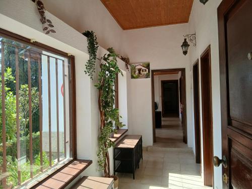 Gerês by Papitravel (Geres by Papitravel) in อเลม โด ริโอ