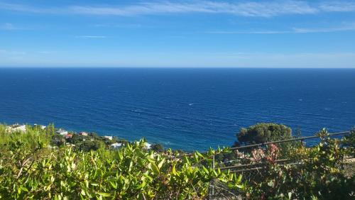 Costa Plana apartment with terrace and sea view, Cap d'Ail