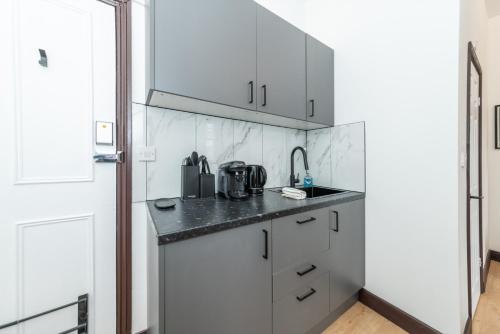 219 - Flat 4 Piccadilly - 3rd floor - image 13