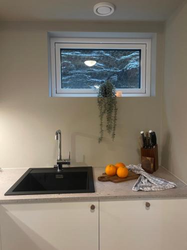 Central apartment in Kristiansand with two bedrooms in Oddemarka