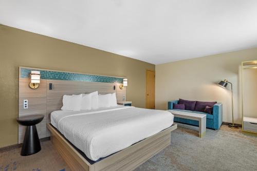 1 king bed, 1 sofa bed