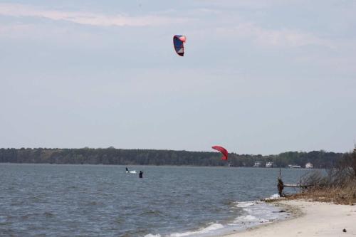 1406 Coastal Highway #3D Dewey Beach - image 3