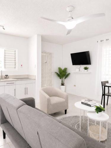 Mahri Cove 1BR Apt Pool / WiFi • Ocho Rios – khách sạn tại Coconut Grove