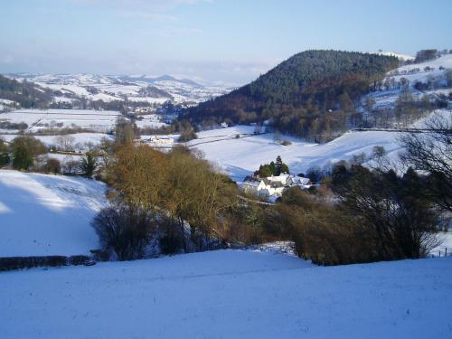The Forest Country House B&B - image 12