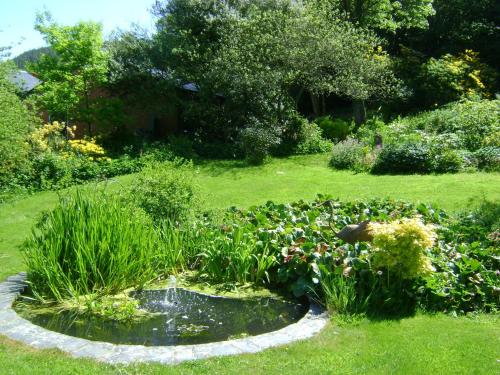 The Forest Country House B&B - image 14