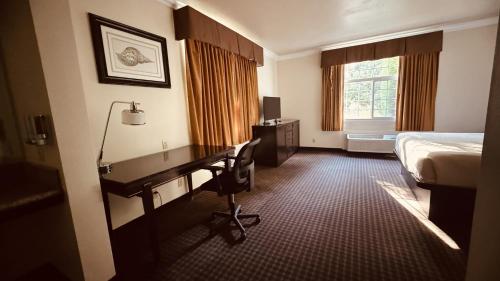 The Miramar Inn & Suites - image 14