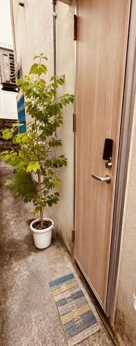 浦添民泊ejuイージュ (浦添民泊ejuイージュ) in Urasoe