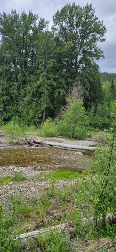Kilátás, Woodland Creek in Chase (BC)